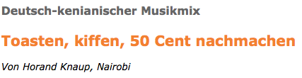 title of article about BLNRB - NRBLN project on spiegel.de